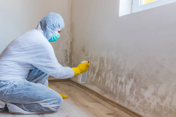 Licensed Mold Testing service in New Oxford, PA - WQB Mold Removal