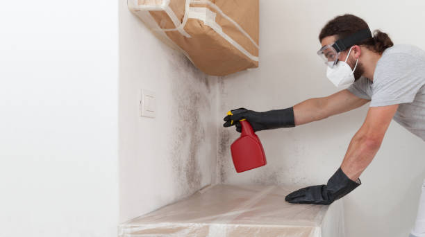 Professional Mold Testing technician working in New Oxford, PA