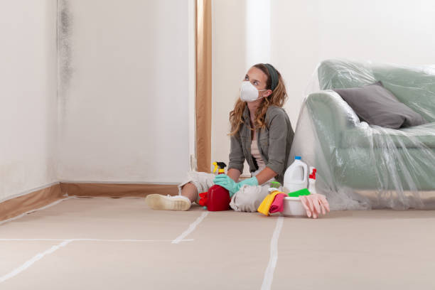 Reliable Mold Testing contractor in New Oxford, PA by WQB Mold Removal